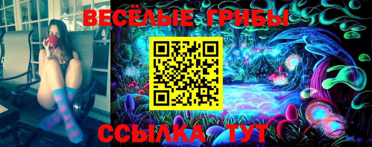 Галлюциногенные грибы Psilocybe Выборг