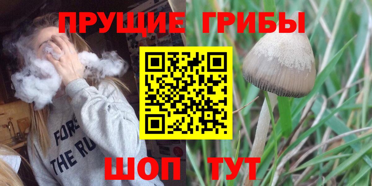 Псилоцибиновые грибы Cubensis  даркнет сайт  Выборг  Вход с VPN 